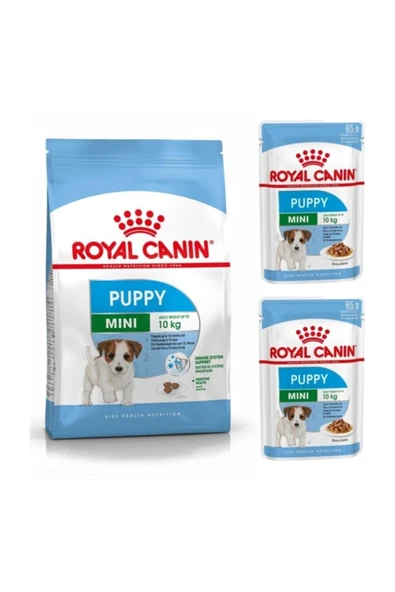 Royal Canin Mini Puppy Yavru Kuru Köpek Maması 4 kg - Resim 3