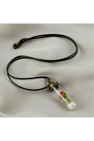 Gül Fanus Canlı Kolye ürün görseli 1