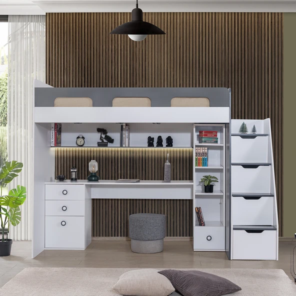 Ranza, Troya Ranza Masa Kitaplık - Resim 12