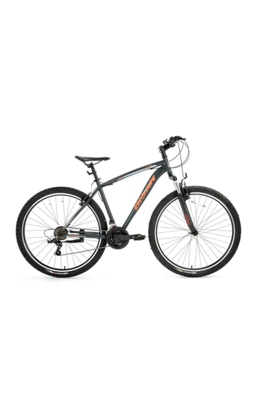 Bisan LEON DAĞ BİSİKLETİ 48 CM V 29 JANT 21 VİTES MAT GRİ TURUNCU ürün görseli 1