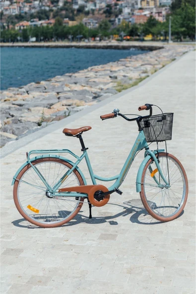 Bisan SORRENTO ŞEHİR BİSİKLETİ 44 CM V 26 JANT SHIMANO NEXUS 3 VİTES KONTRA FREN ÇAĞLA YEŞİLİ GOLD ürün görseli 1