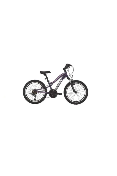 GAZELLA KIZ ÇOCUK BİSİKLETİ 28CM V 20 JANT 18 VİTES METALİK MOR AÇIK PEMBE - 1