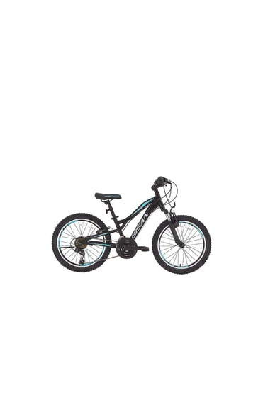 BİSAN BUFFALO ÇOCUK BİSİKLETİ 30 CM V 24 JANT 18 VİTES MAT SİYAH MAVİ - 1
