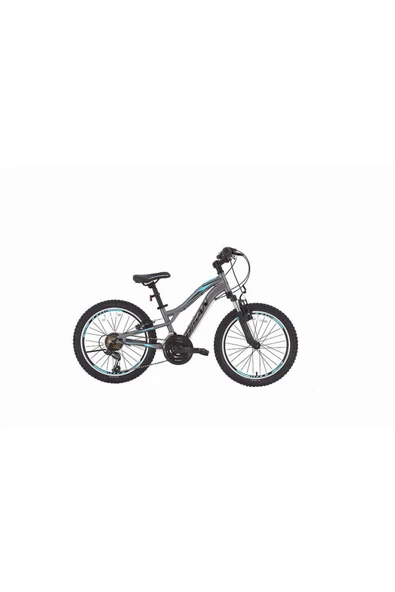 BİSAN BUFFALO ÇOCUK BİSİKLETİ 30 CM V 24 JANT 18 VİTES FÜME SİYAH MAVİ - 1