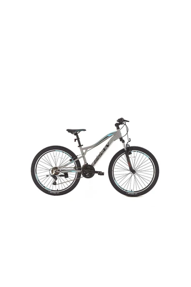 BİSAN BUFFALO DAĞ BİSİKLETİ 37 CM V 27,5 JANT 21 VİTES AÇIK GRİ SİYAH MAVİ - 1