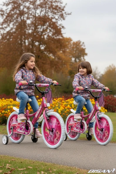 Bisan BİSAN ROSE ÇOCUK BİSİKLETİ 26 CM V FREN 16 JANT 1 VİTES METALİK PEMBE PEMBE - Resim 3