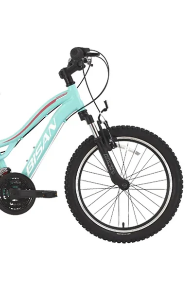 Bisan Gazelle Dağ Bisikleti 35 Cm V 26 Jant 21 Vites Turkuaz Koyu Pembe - Resim 6