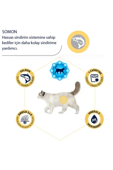 Cat Sterilized Salmon Sensitive 3kg Kısırlaştırılmış Kedi Maması - Resim 3