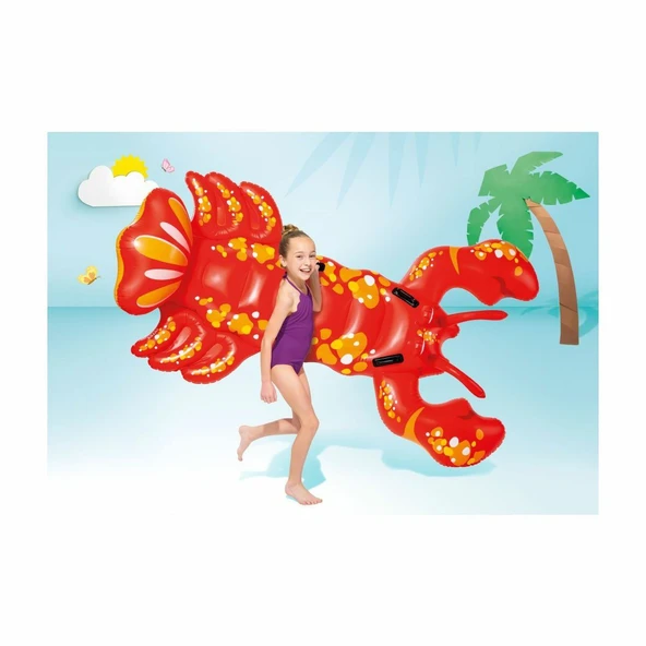 IBN57528 Istakoz Binici 213X137 cm - Resim 3