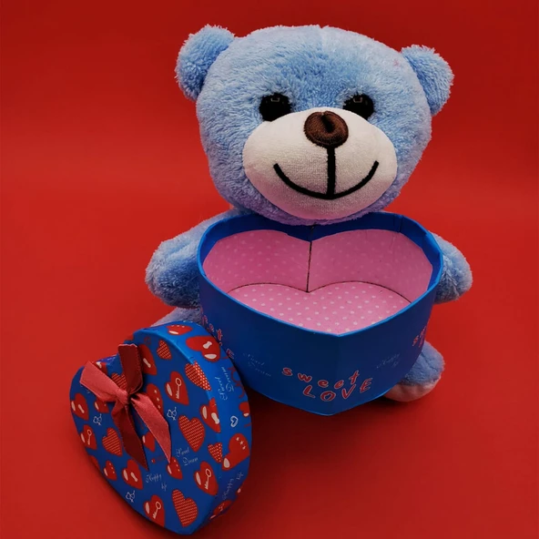 Hediyelik Mavi Kutulu Ayıcık - Resim 2