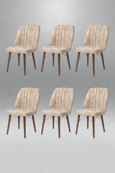 Kaktüs Avm 6'lı Mutfak Sandalyesi Salon Sandalyesi Yemek Odası Sandalyesi 6 Adet Sandalye Cafe Restaurant ürün görseli