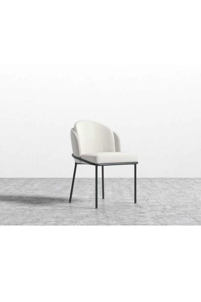 Kaktüs Avm Mutfak Sandalyesi Salon Sandalyesi Yemek Odası Sandalyesi Papel Sandalye Baby Face ürün görseli