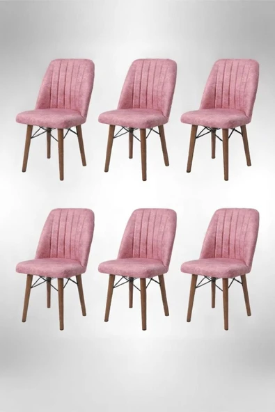 Kaktüs Avm 6'lı Mutfak Sandalyesi Salon Sandalyesi Yemek Odası Sandalyesi 6 Adet Sandalye Cafe Restaurant ürün görseli