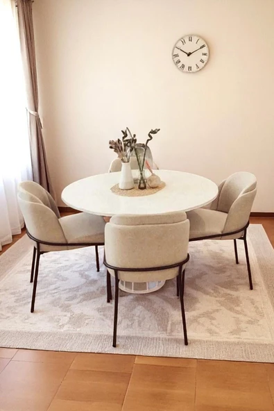 Kaktüs Avm Mutfak Sandalyesi 4'lü Set Salon Sandalyesi Papel Sandalye Yemek Sandalye Lüks Sandalye Morena ürün görseli