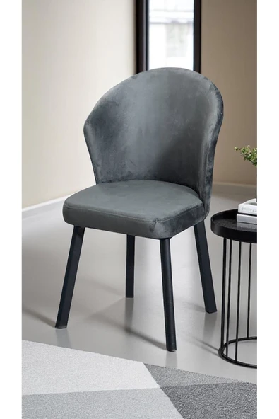 Kaktüs Avm Midye Sandalye Mutfak Cafe Restaurant Proje Metal Lüks Sandalye - Resim 2