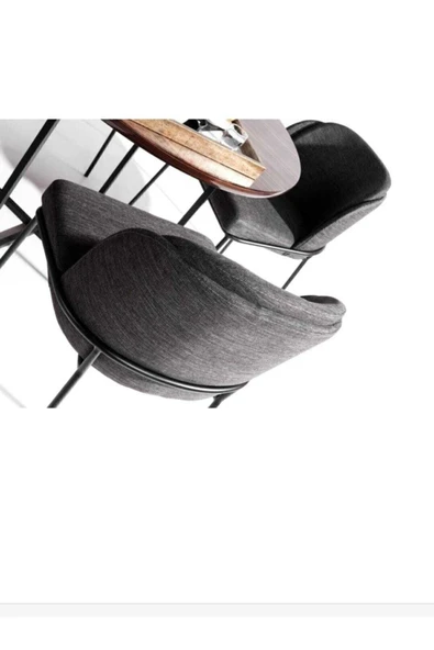 Kaktüs Avm Mutfak Sandalyesi 4'lü Set Salon Sandalyesi Papel Sandalye Yemek Odası Sandalye Lüks Sandalye Morena - Resim 4