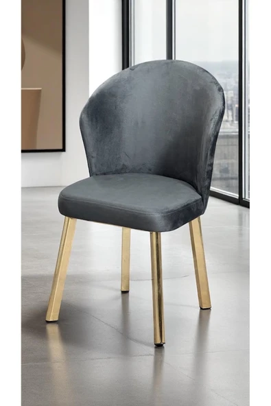 Kaktüs Avm Midye Sandalye Mutfak Cafe Restaurant Proje Metal Lüks Sandalye - Resim 2