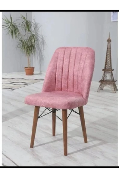 Kaktüs Avm 6'lı Mutfak Sandalyesi Salon Sandalyesi Yemek Odası Sandalyesi 6 Adet Sandalye Cafe Restaurant - Resim 2