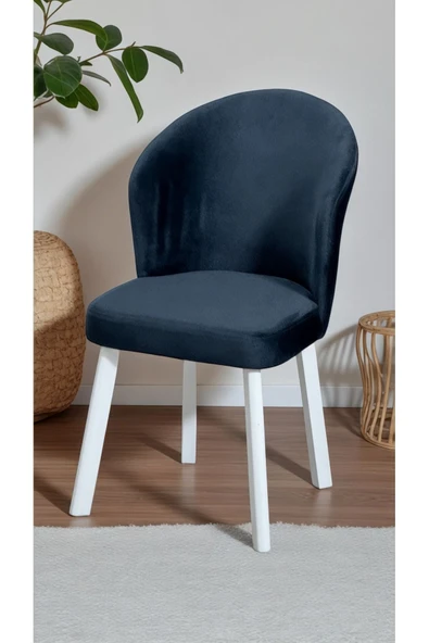 Kaktüs Avm 6 Adet Midye Sandalye Mutfak Cafe Restaurant Proje Metal Lüks Sandalye - Resim 2