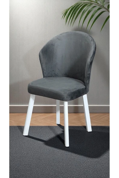 Kaktüs Avm Midye 8 Adet Sandalye Mutfak Cafe Restaurant Proje Metal Lüks Sandalye ürün görseli