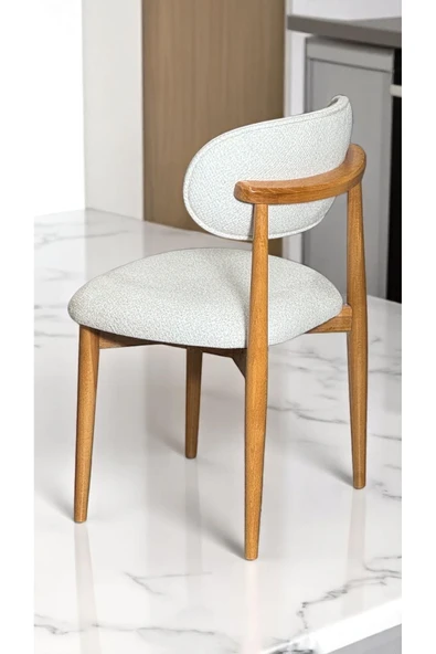 Kaktüs Avm 6 Adet POLO SANDALYE CAFE Restaurant PROJE DAYANIKLI GARANTİLİ İSKELET - Resim 2