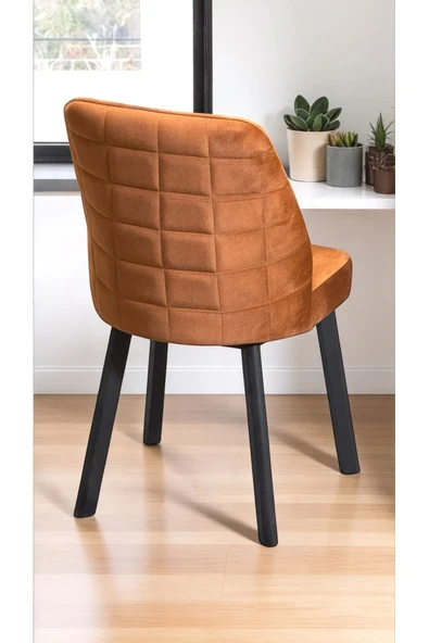 Kaktüs Avm 2 Adet Leksus Sandalye Mutfak Cafe Restaurant Proje Metal Lüks Sandalye - Resim 3