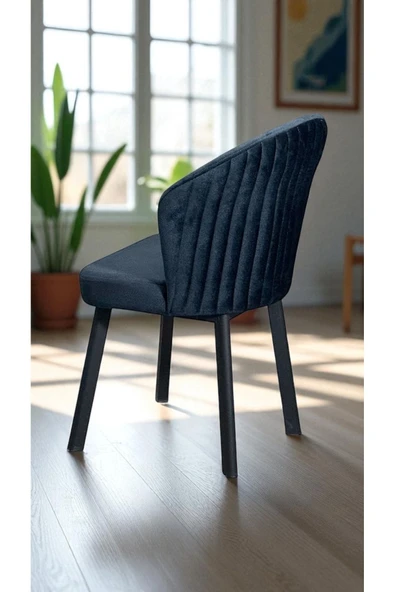 Kaktüs Avm 2 Adet Midye Sandalye Mutfak Cafe Restaurant Proje Metal Lüks Sandalye ürün görseli