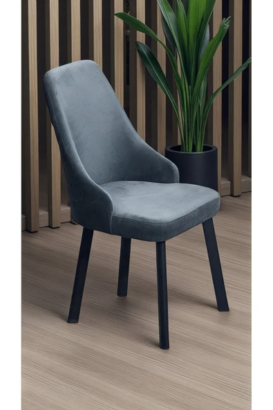 Kaktüs Avm 6 Adet Erciyes Sandalye Mutfak Cafe Restaurant Proje Metal Lüks Sandalye - Resim 2