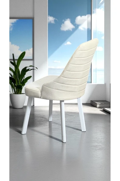 Kaktüs Avm 2 Adet Erciyes Sandalye Mutfak Cafe Restaurant Proje Metal Lüks Sandalye ürün görseli