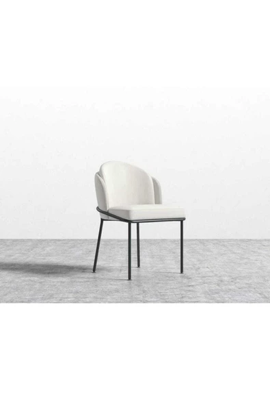 Kaktüs Avm 6'lı Mutfak Sandalyesi Salon Sandalyesi Yemek Odası Sandalyesi Papel Sandalye Baby Face - Resim 2