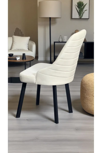 Kaktüs Avm 2 Adet Erciyes Sandalye Mutfak Cafe Restaurant Proje Metal Lüks Sandalye ürün görseli