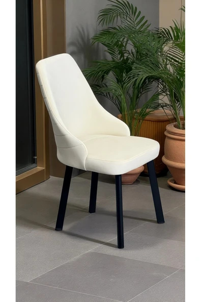 Kaktüs Avm 8 Adet Erciyes Sandalye Mutfak Cafe Restaurant Proje Metal Lüks Sandalye - Resim 2