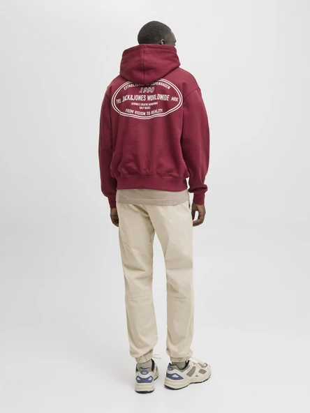 JACK JONES Erkek Jogger Paçası Ribanalı Pantolon 12278949 - Resim 6