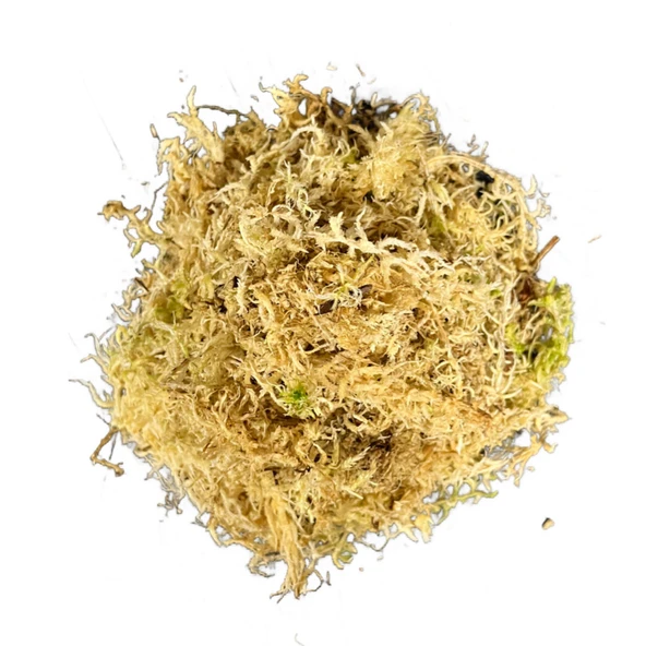 Sphagnum Yosunu 10 LT ürün görseli