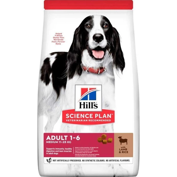 Hills Medium Adult 14KG Köpek Orta Irk Kuzu Pirinç Yetişkin Köpek Maması Lamb Rice ürün görseli 1
