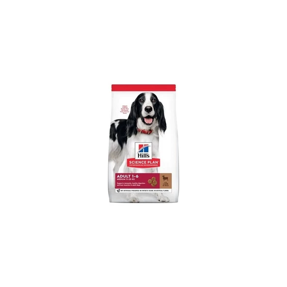 Science Plan Kuzu Etli Pirinçli Lamb&rice Medium Yetişkin Köpek Maması 14 kg ürün görseli 1