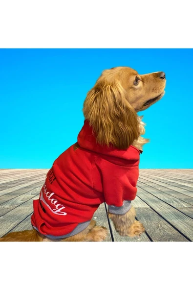 Alphadog Leader Red Orta-büyük Irk Köpek Sweatshirtü