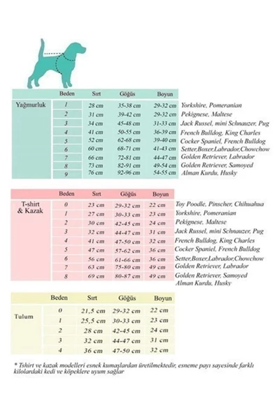 Alphadog Turkuaz Pawsitive Küçük Irk Köpek T-shirtü (2 Kg-6 Kg Arasına Uygun) - 2