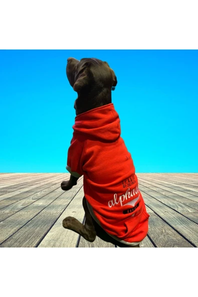 Alphadog Leader Red Orta-büyük Irk Köpek Sweatshirtü - 2