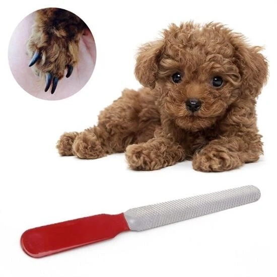 Evcil Hayvan Tırnak Makası Ve Törpü Seti Manikür Pedikür Pati Bakım Aleti Kaymaz Sap - 5