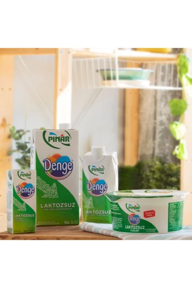 Pınar Denge Laktozsuz Süt 500 ml x 12'li - 6