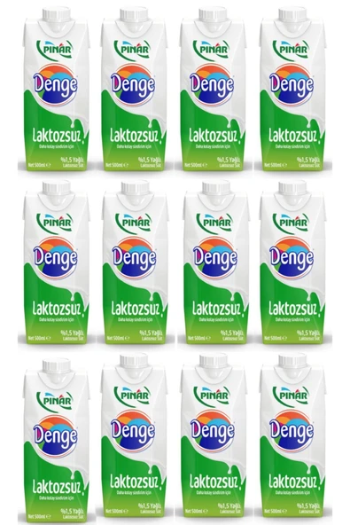 Pınar Denge Laktozsuz Süt 500 ml x 12'li - 2