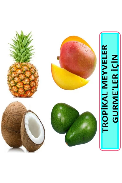 Kiwi 2 büyük avokado 1 mango 1 ananas 1 hindistan cevizi tropikal lezzetler sepeti