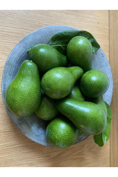 atolyedekiler Yerli Avokado Bahçeden Taze 10 Adet - 2