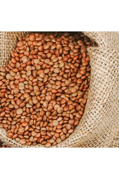 nehirgıda Mercimek 1 kg