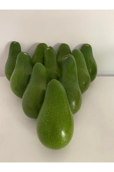 atolyedekiler Yerli Avokado Bahçeden Taze 15 Adet - 5