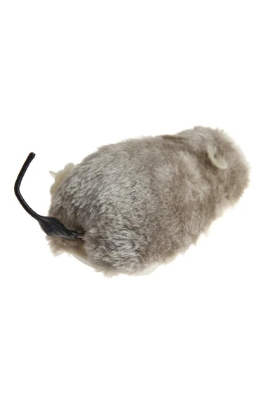 Zeki Karga Kurmalı Tüylü Fare Kedi Eğitim Oyuncağı Hareketli Peluş Oyuncak - 2