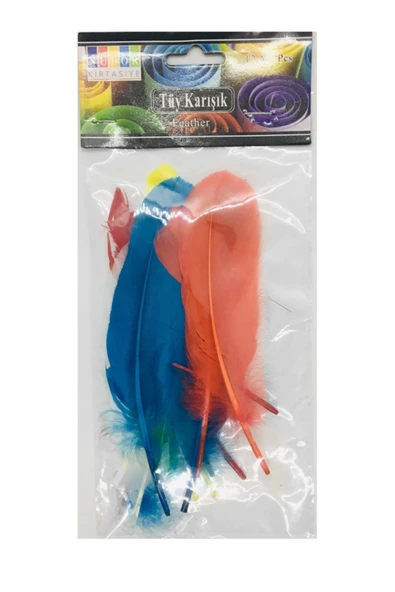 Südor Ss25 Renkli Kuş Tüyü 12 Adet