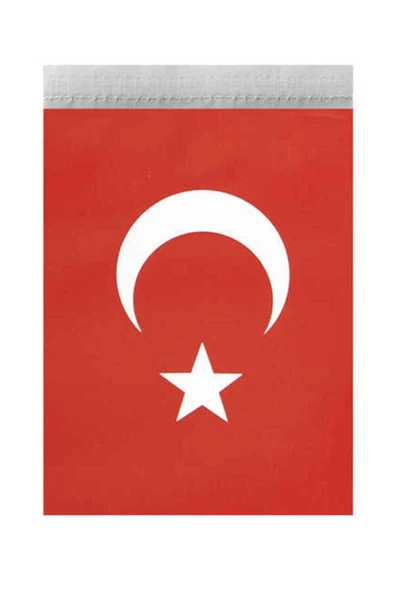 Buket Orta Ipli Türk Bayrağı 50li - 1