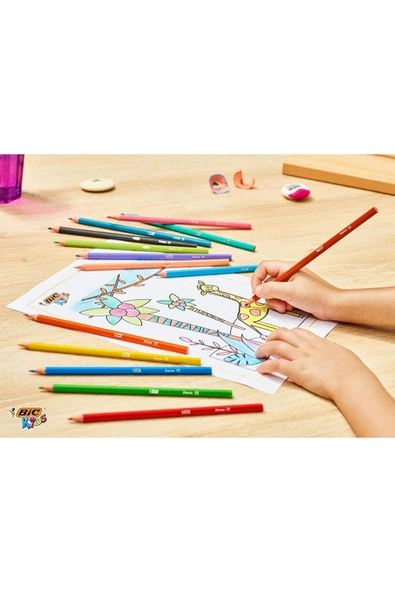 Bic 4'lü Okula Dönüş Seti 46 Parça Boyama Seti - Resim 8